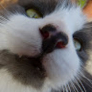 Meet your Posher, Ava